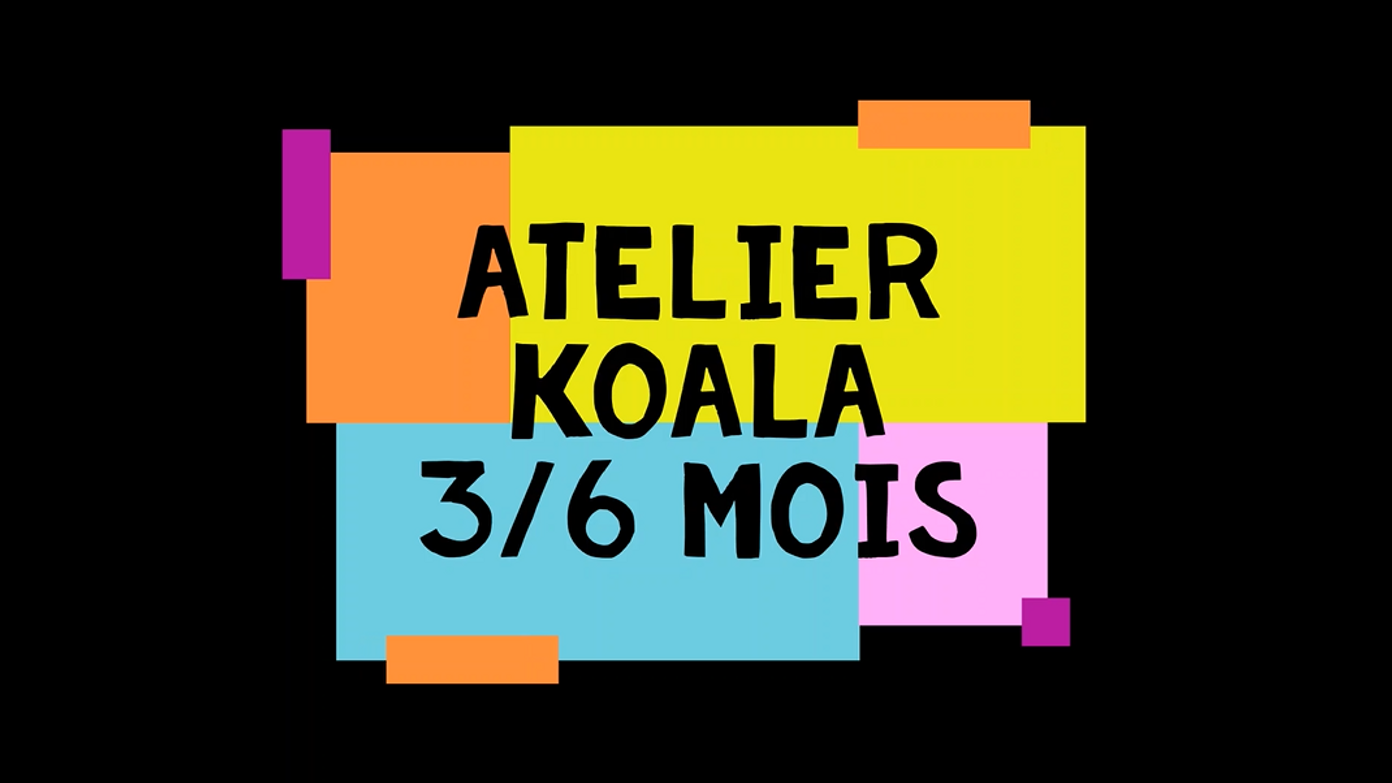 teaser koala